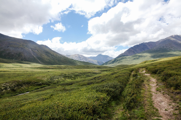 mountain landscape with scenic valley, Altai, Russia - Photo, Image