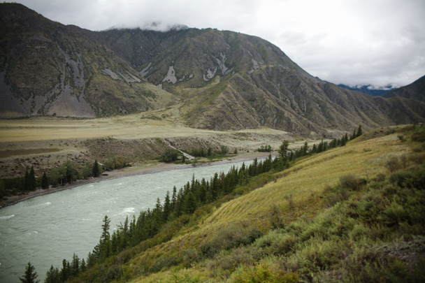 Altai - Foto, Bild