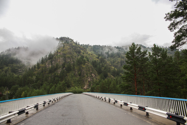 beautiful mountain landscape and asphalt road at cloudy day, Altai, Russia - Photo, Image