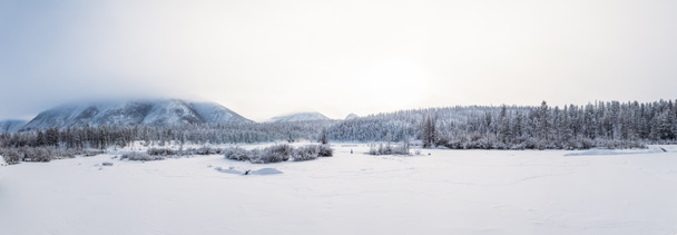 όμορφο χειμωνιάτικο τοπίο με έλατα στα βουνά, jakutia  - Φωτογραφία, εικόνα