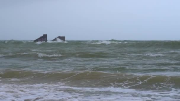 海の海岸の嵐 - 映像、動画