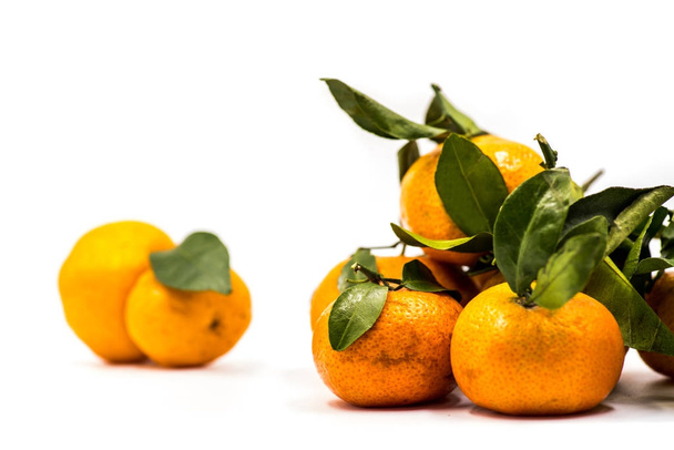 mandarijnen of mandarijnen geïsoleerd op witte achtergrond - Foto, afbeelding