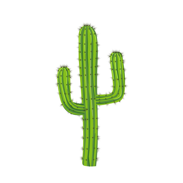 Traditional cactus plant with needles. Travel to Mexico. - Vector, Imagen
