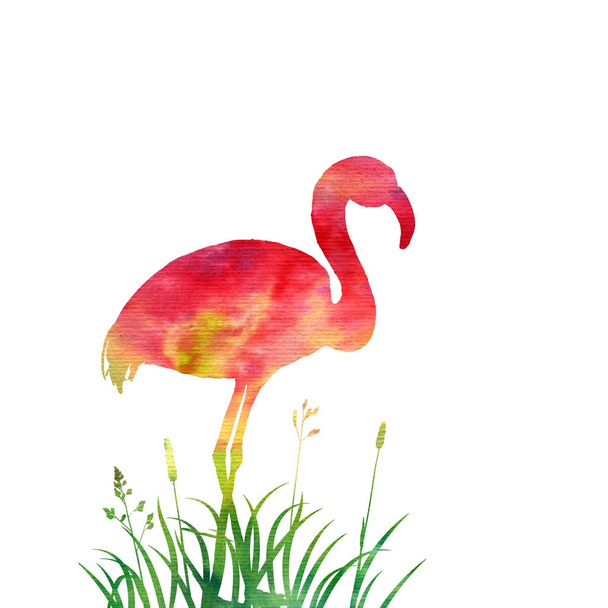 flamingo in grass silhouette - 写真・画像