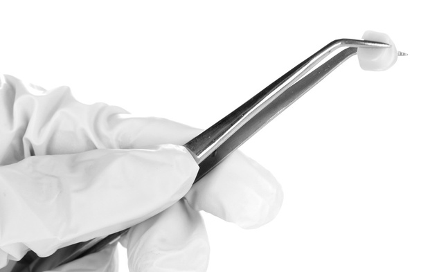 Dentists hands in medical gloves holding tweezers with denture isolated on white - Zdjęcie, obraz