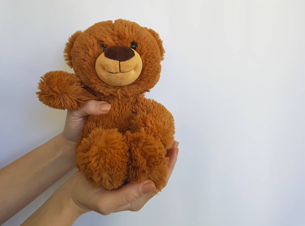 Main tient un jouet ours en peluche isolé
 - Photo, image