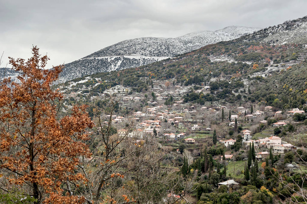 Uitzicht op het dorp en de met sneeuw bedekte bergen in een winter op een bewolkte dag (Griekenland, regio Arcadia) - Foto, afbeelding