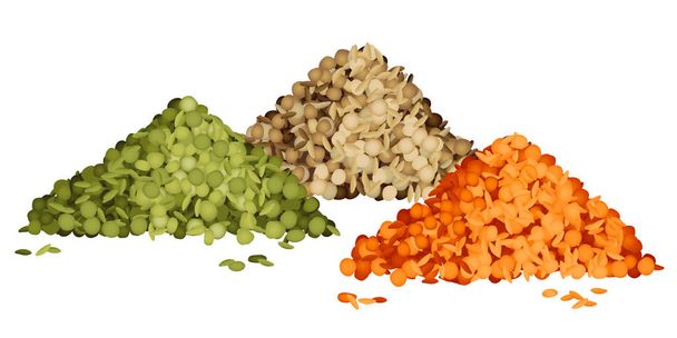 Vários tipos de pilhas de lentilhas conjunto
 - Vetor, Imagem