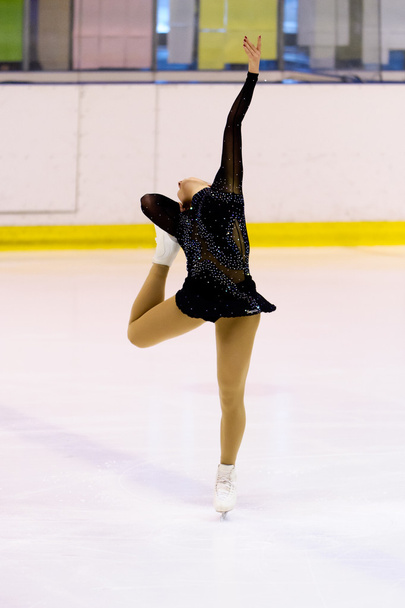 Italian Championships of Figure Skating 2012 - Φωτογραφία, εικόνα