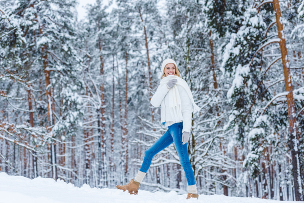schöne junge Frau, die im Winterwald wandert - Foto, Bild