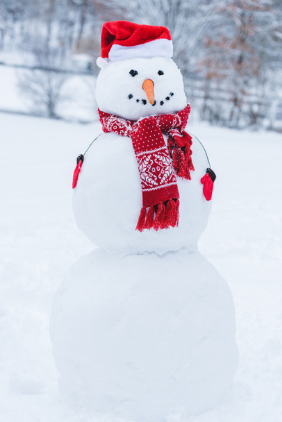 close up view of snowman in santa hat, scarf and mittens i winter park - Foto, imagen