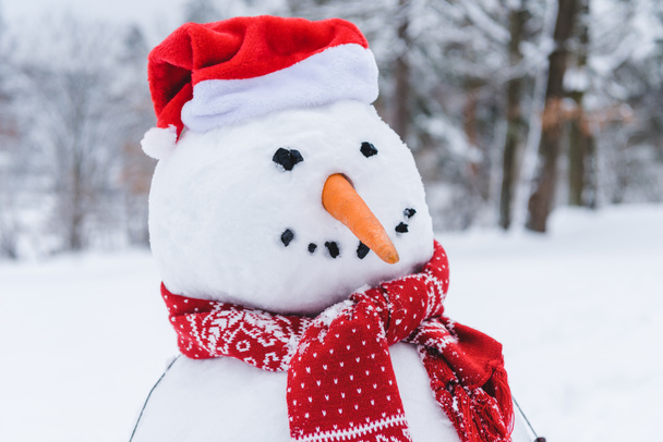 close-up view of funny snowman in scarf and santa hat in winter park - Photo, Image