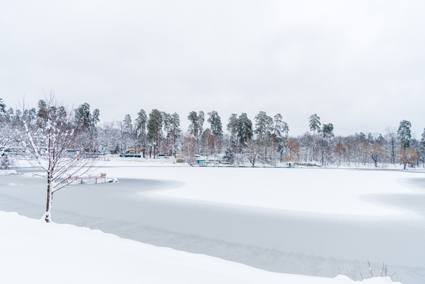όμορφο χιόνι κάλυψε δέντρα και παγωμένη λίμνη το χειμώνα πάρκο  - Φωτογραφία, εικόνα