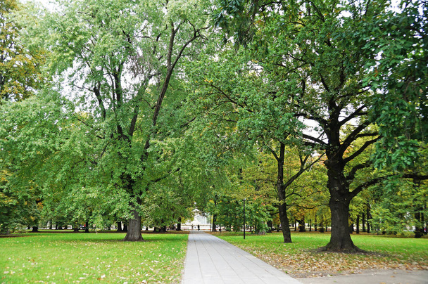 Een paar mensen lopen in een herfst park langs het steegje. Mensen wandeling in het park. Alley in de herfst park. - Foto, afbeelding