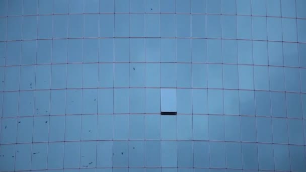 Стена современного офисного здания с отражением летающих птиц в стекле
. - Кадры, видео