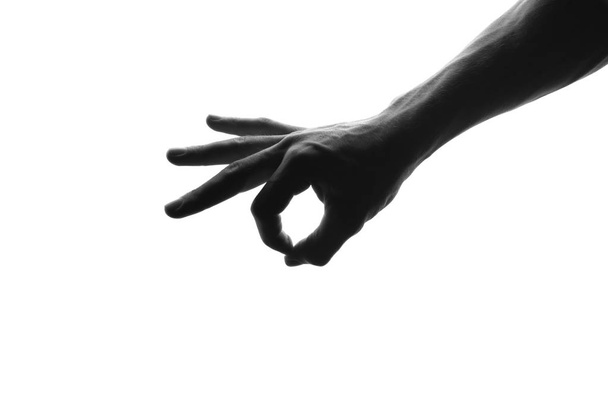 Silhouette of man's hand shows ok symbol - isolated on white - Photo, image
