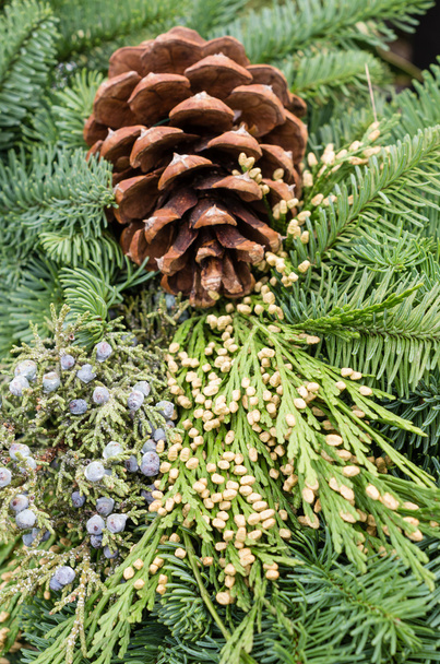 Evergreen decoration with pine cone - Foto, afbeelding