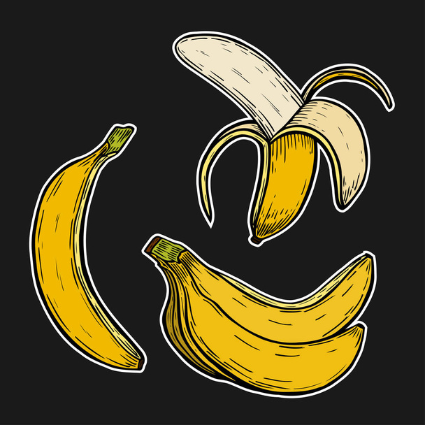 Φρούτα μπανάνα, δέσμη. - Διάνυσμα, εικόνα