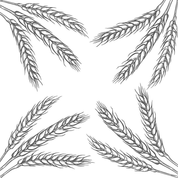 Ilustração do trigo
 - Vetor, Imagem