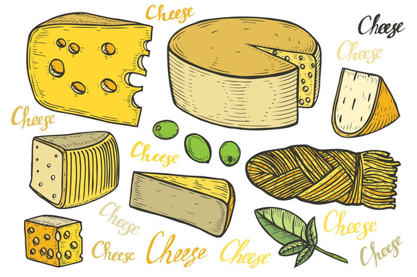 ručně kreslený sýr - Vektor, obrázek