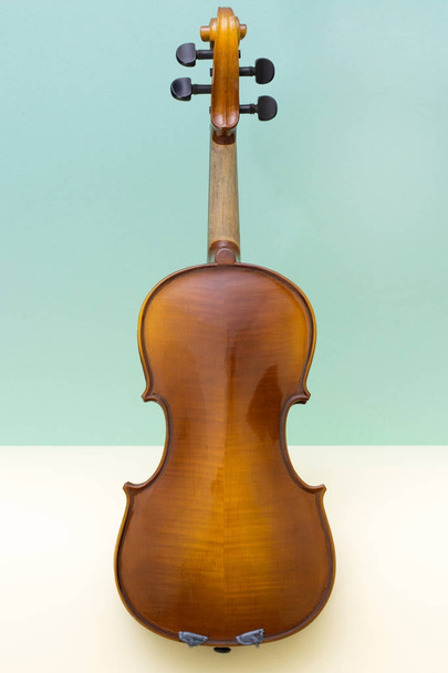 Musical instrument violin on a colored background. Back side - Photo, Image