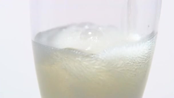Champagne poured into glass. White background. Close up - Materiaali, video