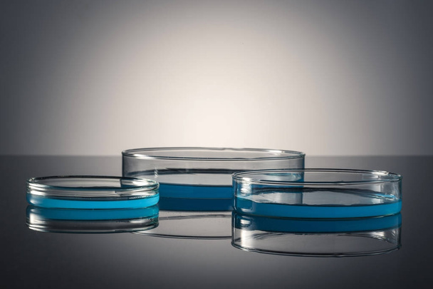 Laboratory Petri dish/plate isolated on white background - Valokuva, kuva