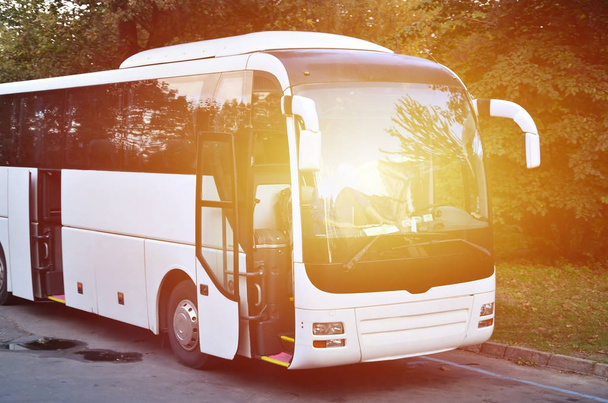 Ônibus turístico branco para excursões. O ônibus está estacionado em um estacionamento perto do parque
 - Foto, Imagem