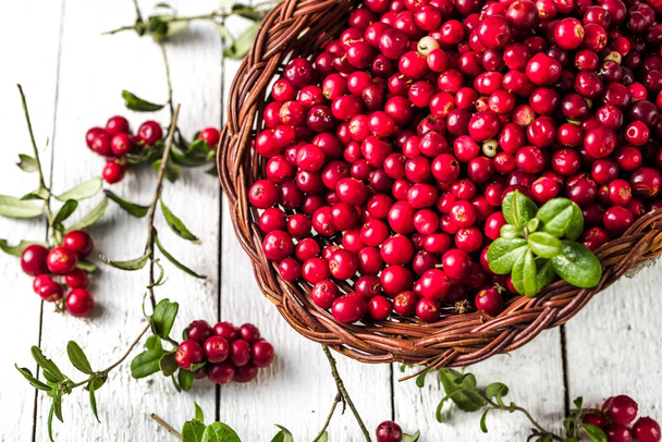 Fresh cranberries on wooden background or cowberries autumn harvest, red berries on rustic table - Fotó, kép