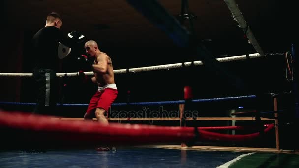 Boxer és edzője a ringben gyakorlat egy sor agyvérzés és lejtők - Felvétel, videó