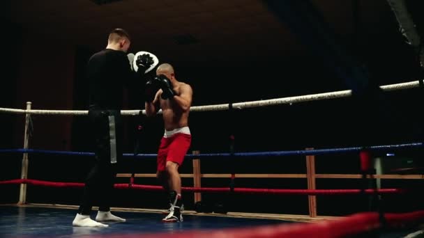 Een bokser en zijn coach werken op de poten van het boksen in de ring voor het beoefenen van een serie van stoten. Schuifregelaar - Video