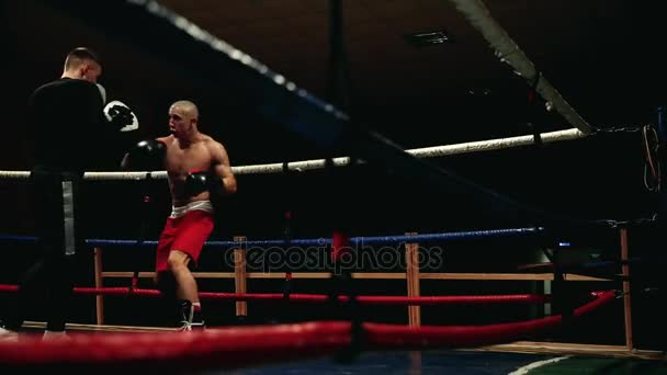 Un boxeur professionnel et son entraîneur travaillent sur les pattes de boxe sur le ring en pratiquant une série de coups de poing
. - Séquence, vidéo