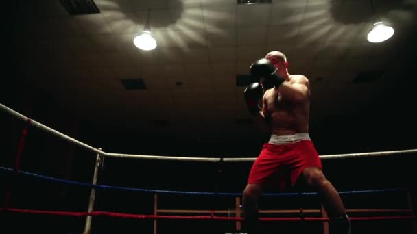 Ammatillinen nyrkkeilijä nyrkkeilykehässä punaisissa sherdeissä ja nyrkkeilyhanskat pitävät taistelua varjossa. Dynaaminen kamera. Laaja kuvakulma
. - Materiaali, video