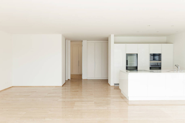 beautiful empty apartment, modern kitchen - Foto, afbeelding