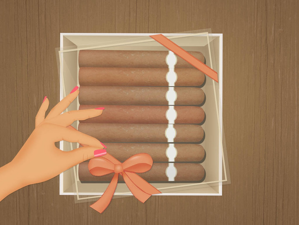 illustration of cigars in the box - 写真・画像
