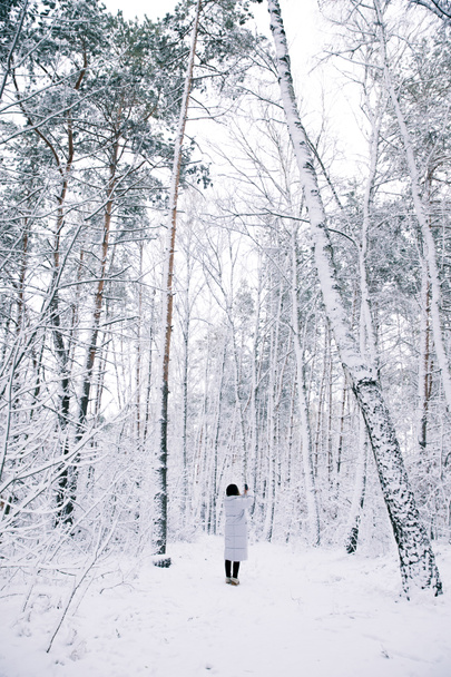 rear view of woman taking photo of snowy forest by smartphone - Zdjęcie, obraz