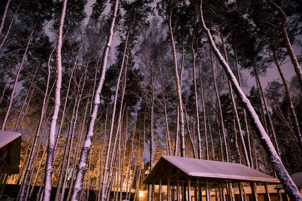 ξύλινο εξοχικό σπίτι στο χιονισμένο δάσος στην νύχτα - Φωτογραφία, εικόνα