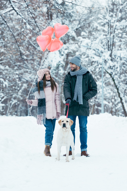 young couple with heart shaped balloons and dog walking in winter snowy park - Zdjęcie, obraz