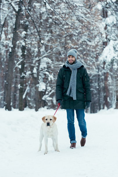 Nuori mies kävelee koiran kanssa talutushihnassa talvipuistossa
 - Valokuva, kuva