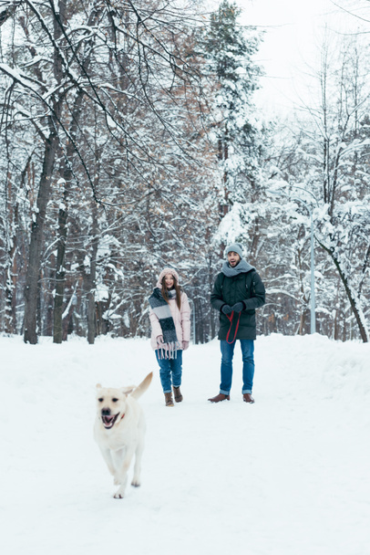 young couple with dog walking in winter snowy park - Photo, Image