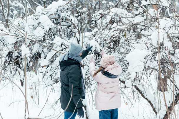back view of couple having fun in winter park - Zdjęcie, obraz