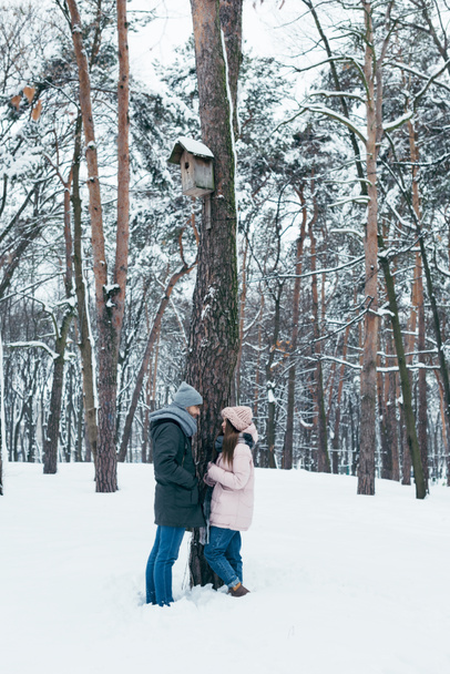 молодая пара смотрит друг на друга, стоя в зимнем лесу
 - Фото, изображение