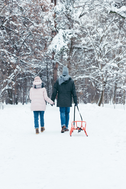 vue arrière du couple avec traîneau tenant la main tout en marchant dans un parc enneigé
 - Photo, image