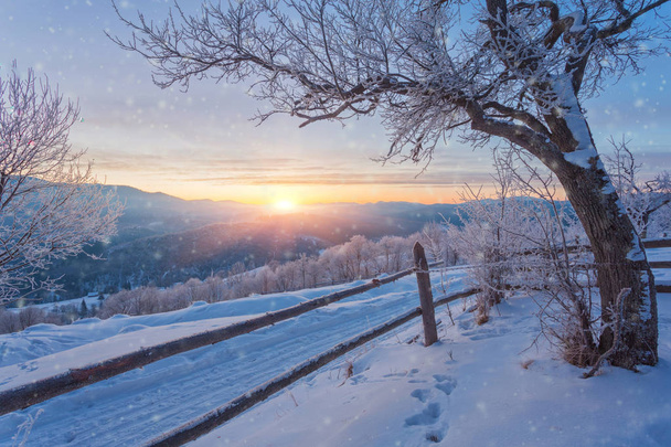 Hermoso paisaje de invierno en las montañas. - Foto, Imagen
