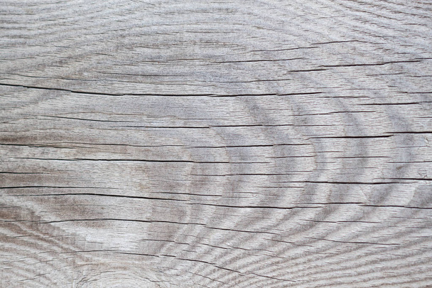 Natuurlijke hout achtergrond clouse-up - Foto, afbeelding