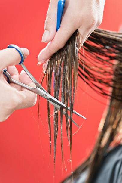 hairdresser Haircutter cutting hair - Фото, изображение