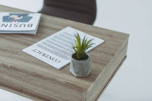 green plant and contract on wooden table on gray - Photo, Image