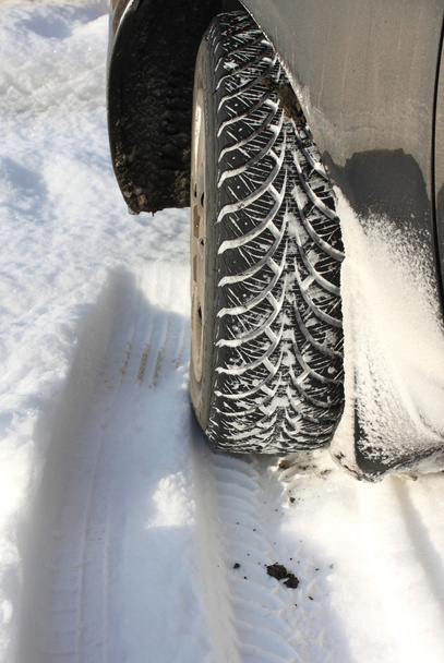 Winter tire in snow - Photo, Image
