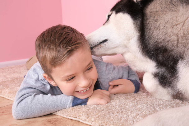 Cute little boy with Husky dog at home - Valokuva, kuva