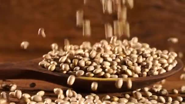 beans falling in slow motion - Metraje, vídeo